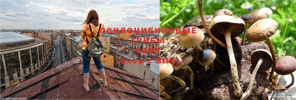 скорость mdpv Навашино