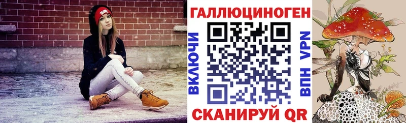 omg вход  сайты даркнета состав  Псилоцибиновые грибы Psilocybine cubensis  наркотики  Хилок 